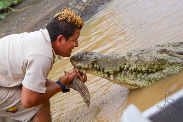 Costa Rica Tarcoles River Cruise and Crocodiles